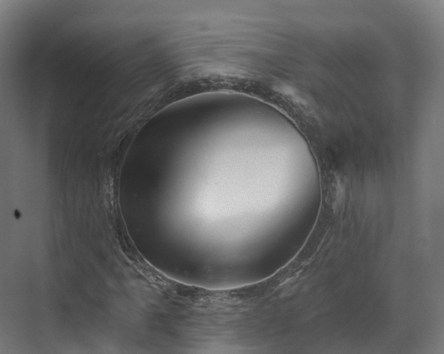 X0000073851061200608171027