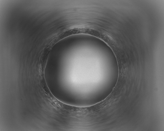 X0000073851062200608171027