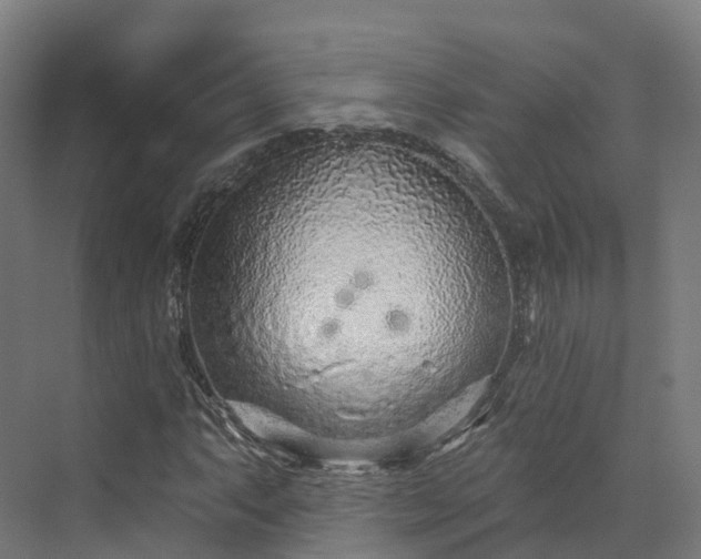 X0000073851063200608171027