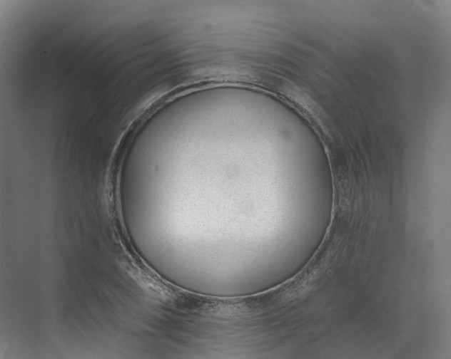 X0000073851074200608171027