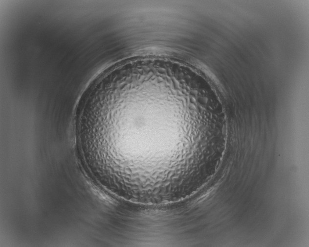 X0000073851075200608171027