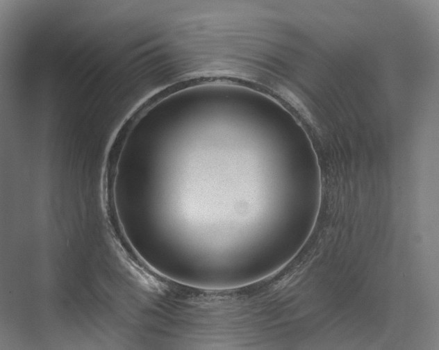 X0000073851076200608171027