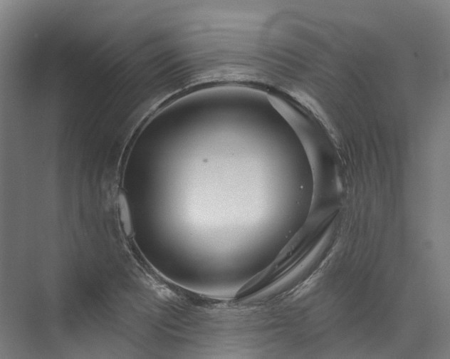 X0000073851081200608171026