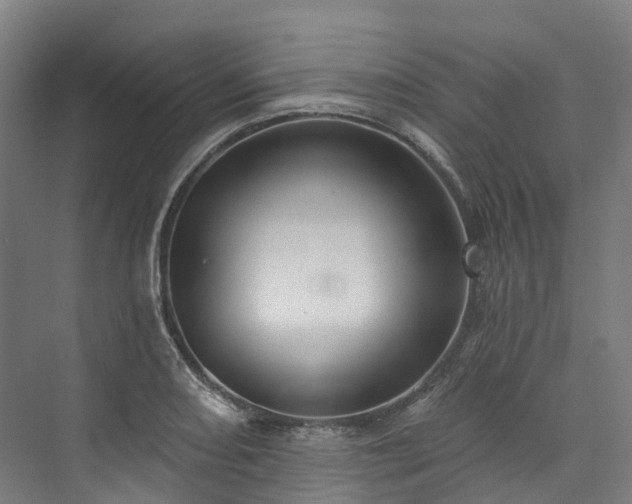 X0000073851082200608171026