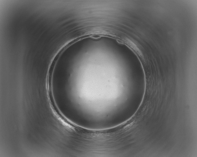 X0000073851084200608171026