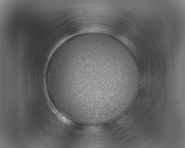 X0000073851086200608171026