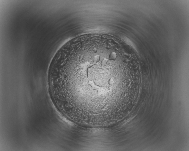 X0000073851087200608171026