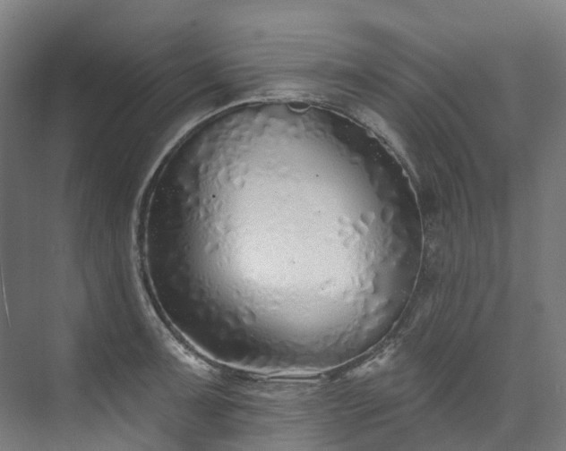 X0000073851091200608171026