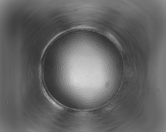 X0000073851092200608171026