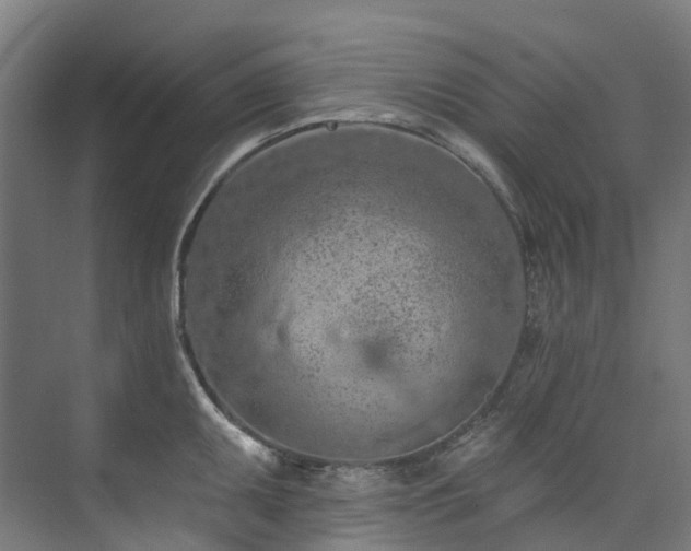 X0000073851095200608171026