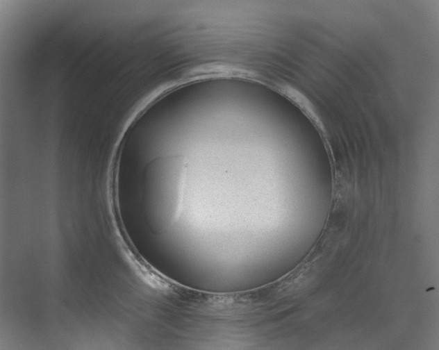 X0000073851098200608171026