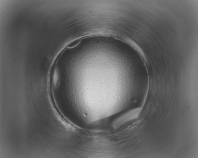 X0000073851099200608171026