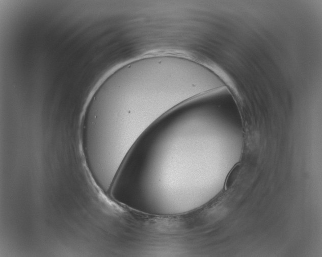 X0000073851102200608171026