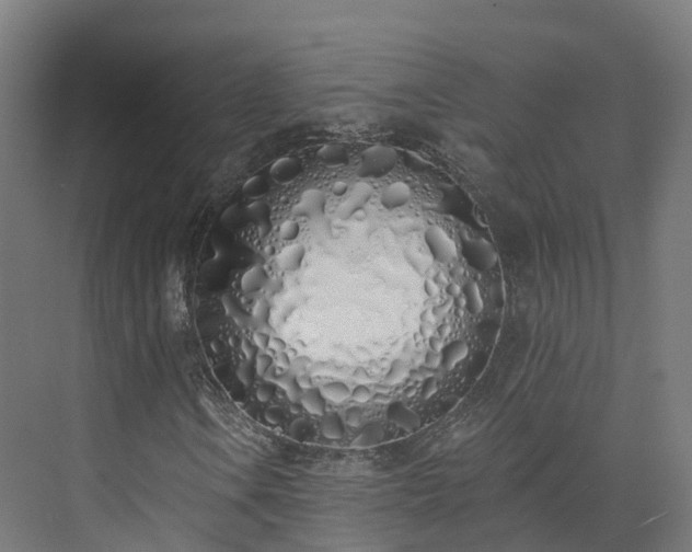 X0000073851106200608171025