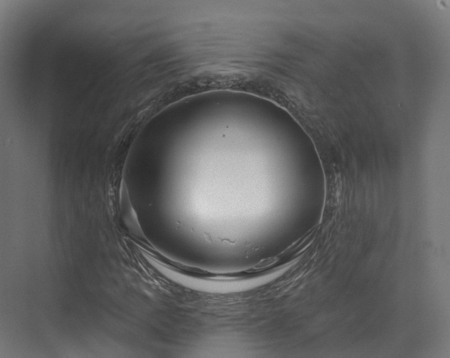 X0000073851109200608171025