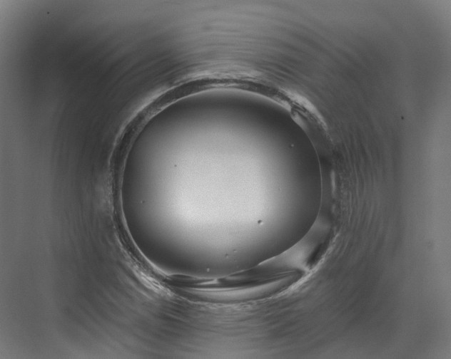 X0000073851114200608171025