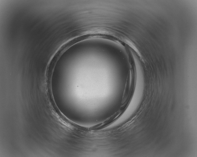 X0000073851116200608171025