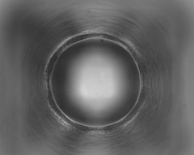 X0000073851118200608171025