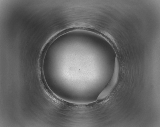 X0000073851120200608171026