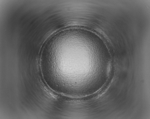 X0000073851121200608171026