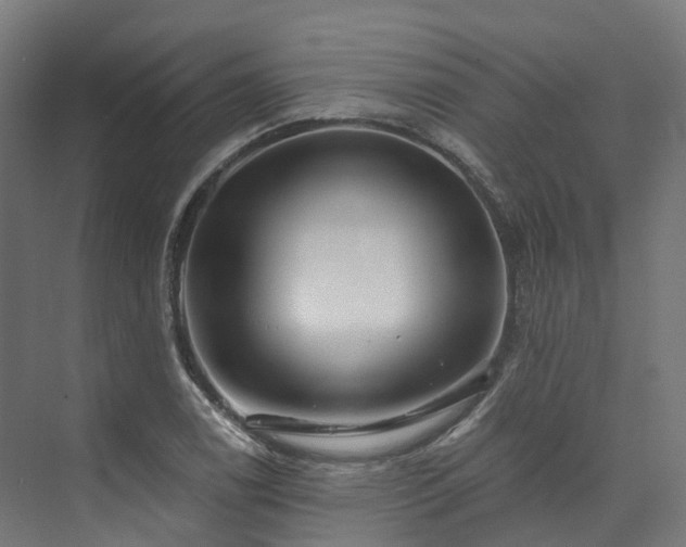 X0000073851122200608171026