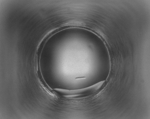 X0000073851123200608171026