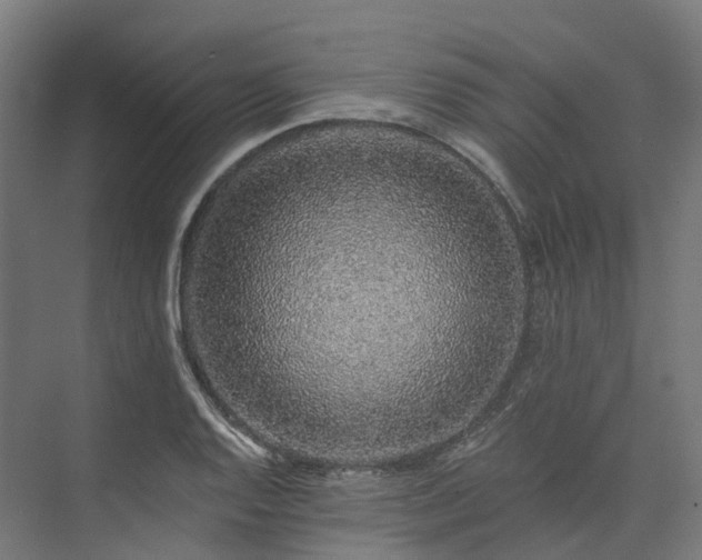 X0000073851128200608171026