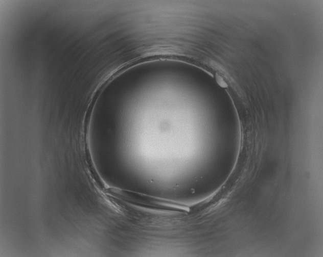 X0000073851129200608171026