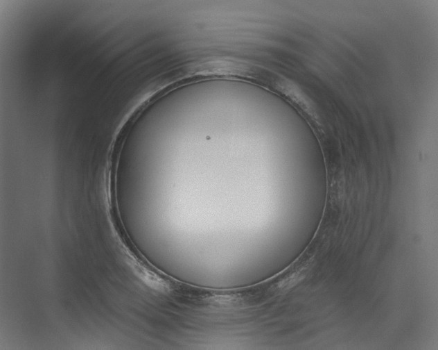 X0000073851130200608171026