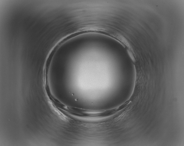 X0000073851132200608171026