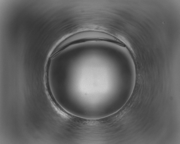 X0000073851136200608171026