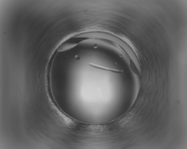 X0000073851142200608171026