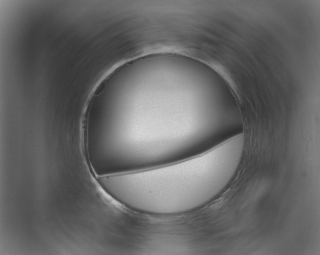 X0000073851151200608171026