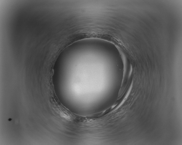 X0000073851153200608171025