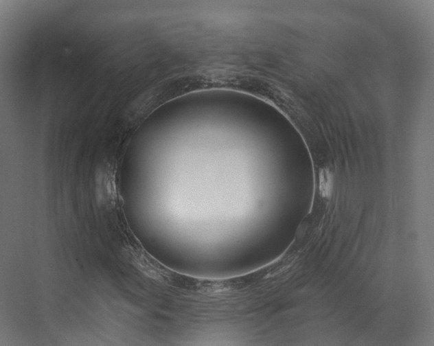 X0000073851155200608171025