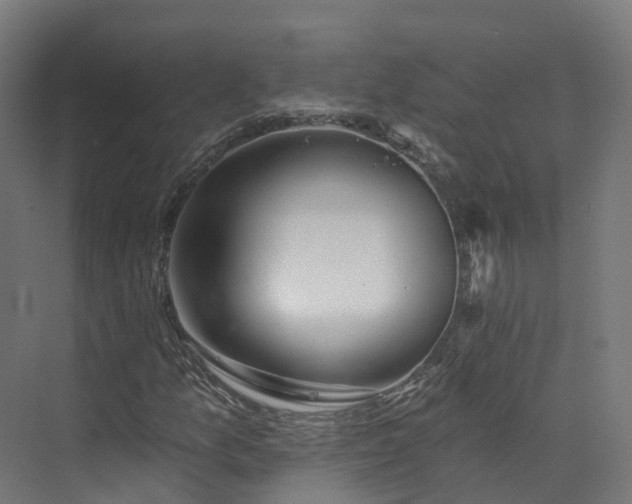 X0000073851157200608171025