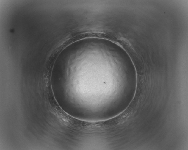 X0000073851159200608171025