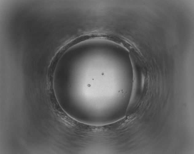 X0000073851160200608171025