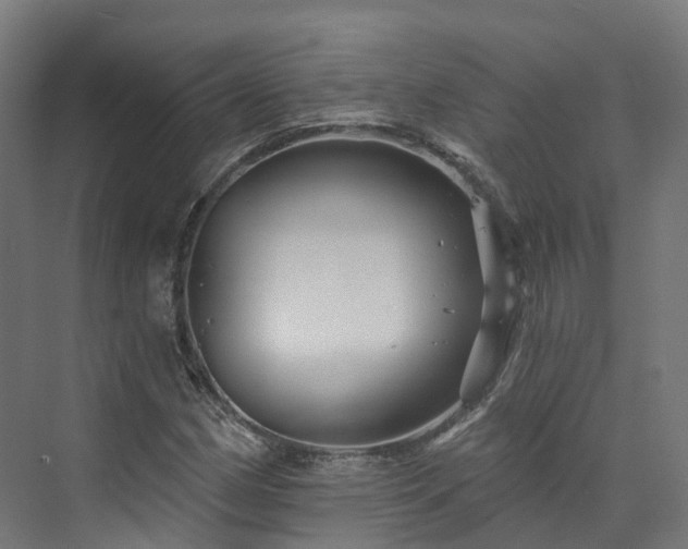 X0000073851162200608171025