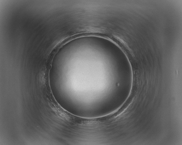 X0000073851163200608171025