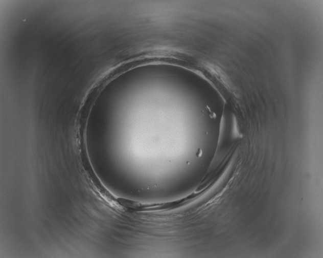 X0000073851164200608171025