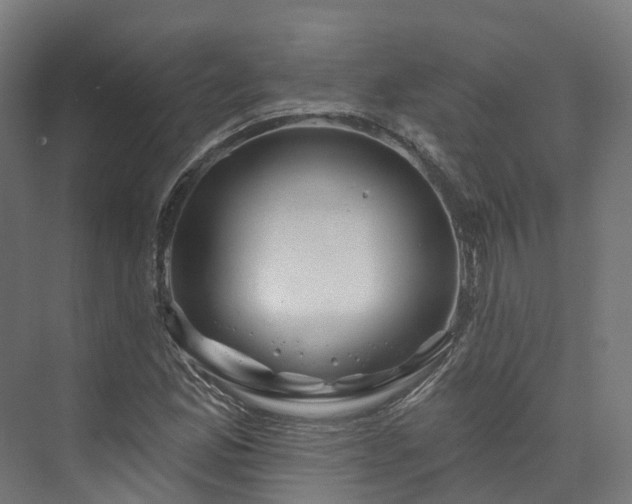 X0000073851165200608171025