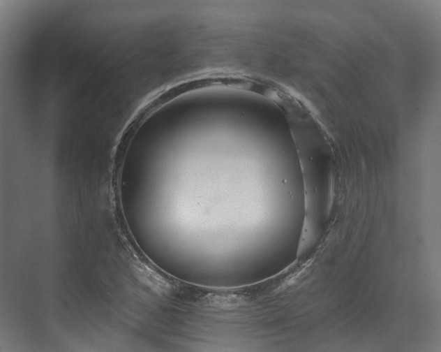 X0000073851168200608171025