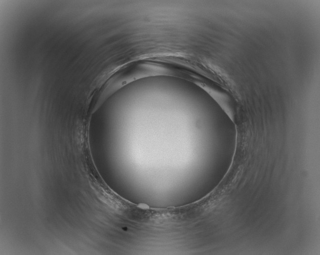 X0000073851169200608171025