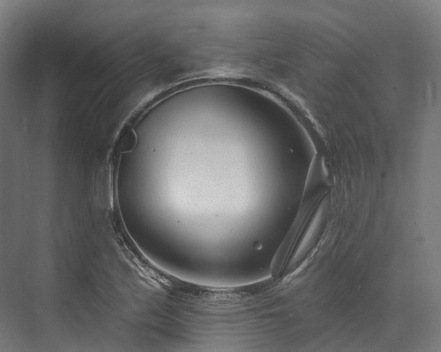 X0000073851171200608171025