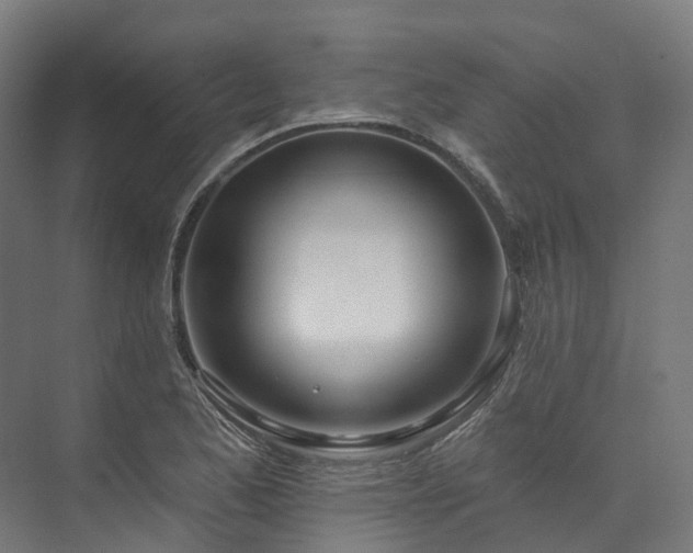 X0000073851173200608171025