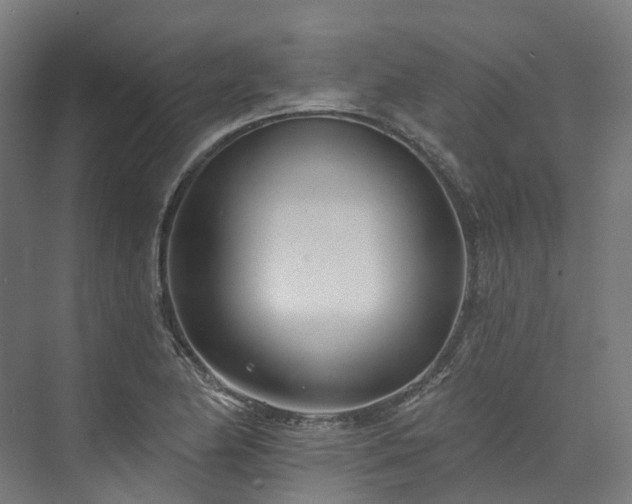 X0000073851174200608171025