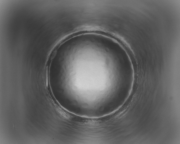 X0000073851175200608171025