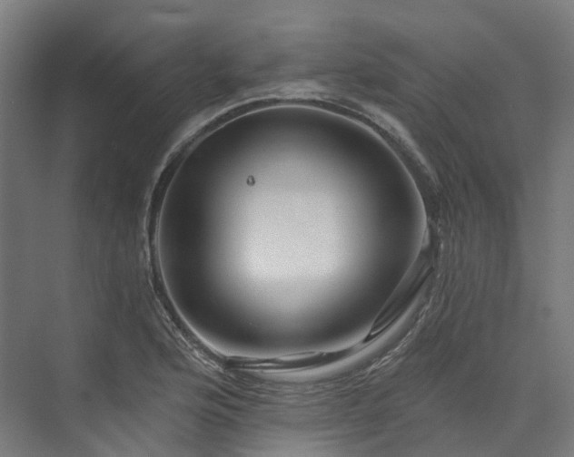 X0000073851176200608171025