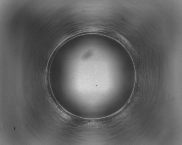 X0000073851178200608171025